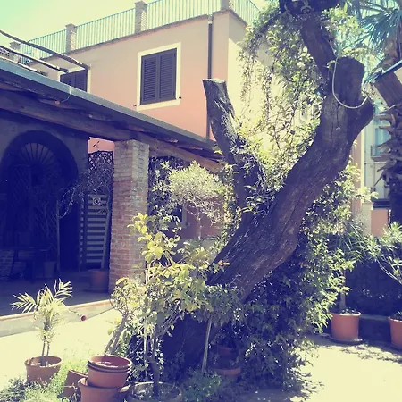 Casantica Turismo Rurale * Μιλάτσο