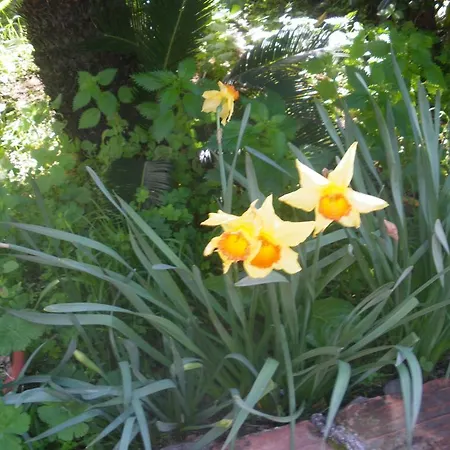 Bed & Breakfast Casantica Turismo Rurale