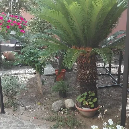 Casantica Turismo Rurale לינה וארוחת בוקר 3*