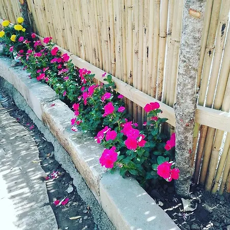 Casantica Turismo Rurale * Μιλάτσο